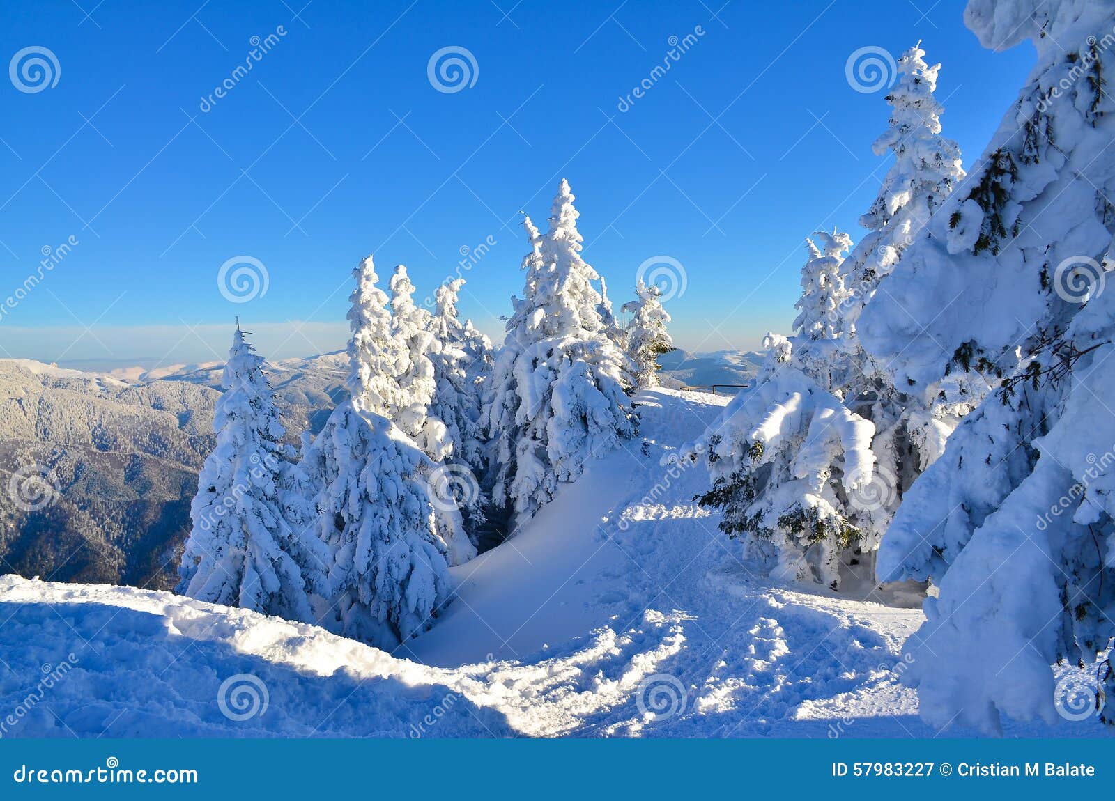 Sport track stock image. Image of piste, frosty, loaded 57983227