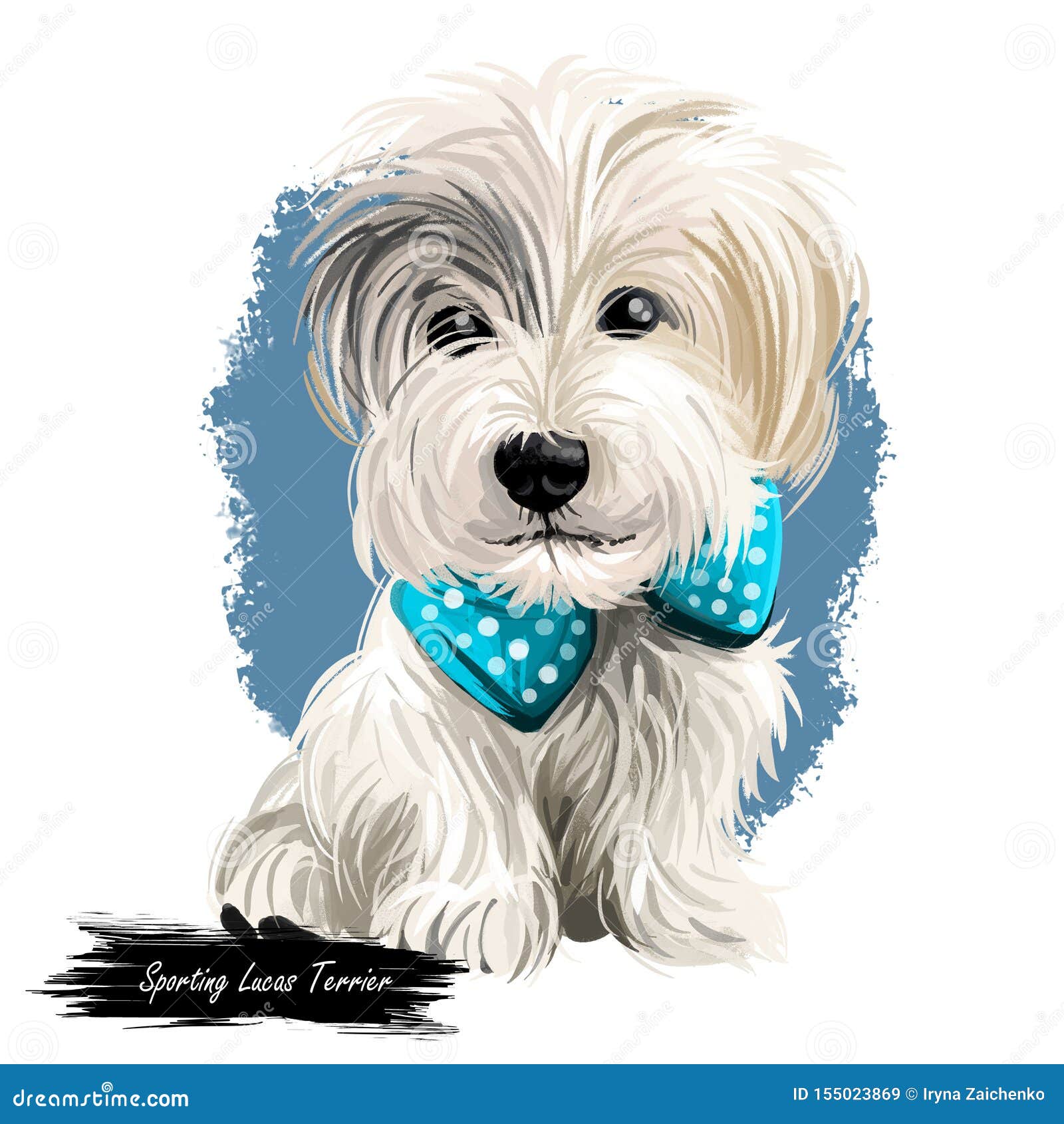 Sporting Lucas Terrier Breed Of Dog Of Terrier Type Isolated On White Digital Art Animal Watercolor Portrait Closeup Isolated Stock Illustration Illustration Of American Head 155023869