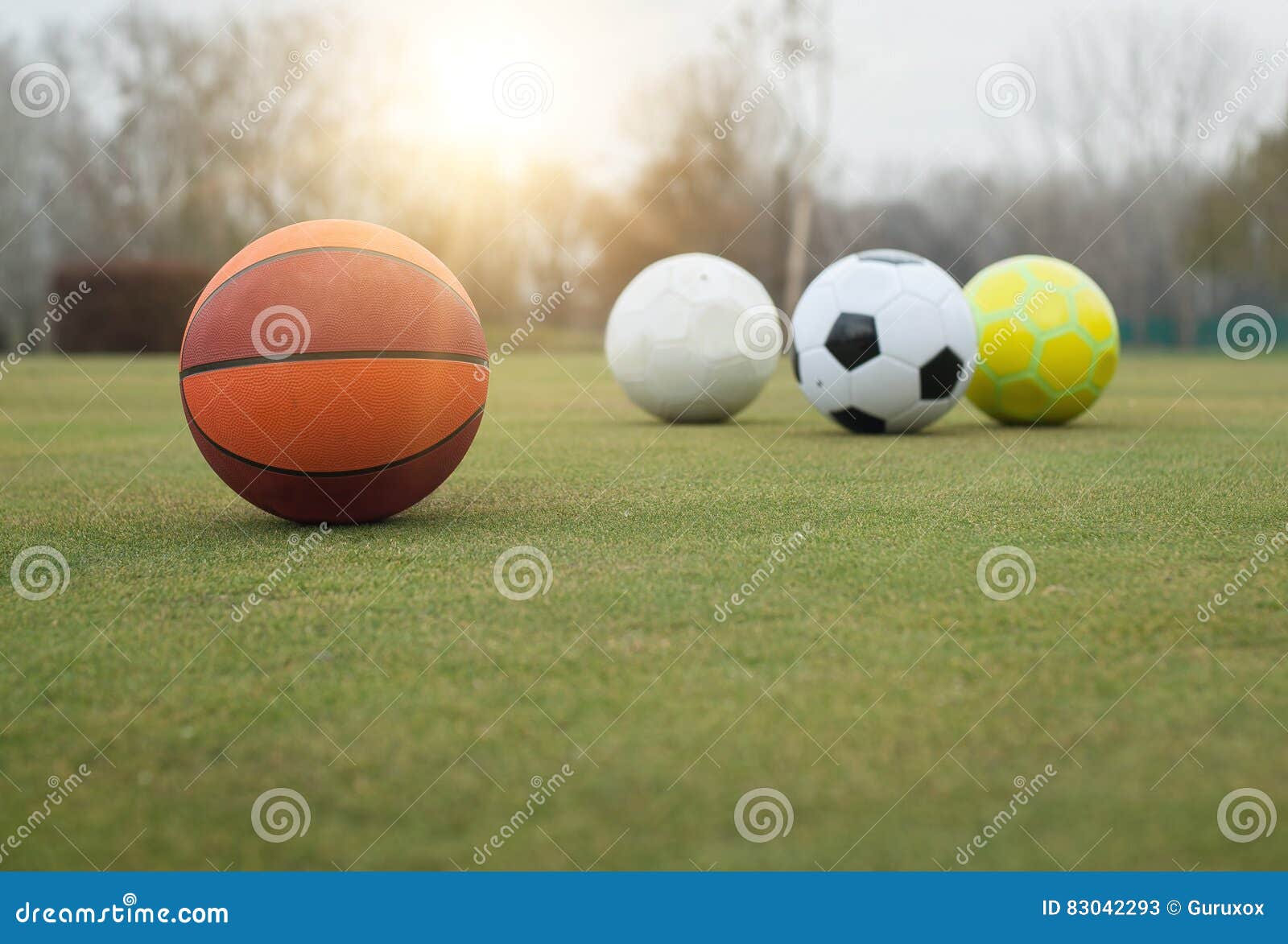 Sports Balls on Grass Field Stock Image Image of abstract, balls