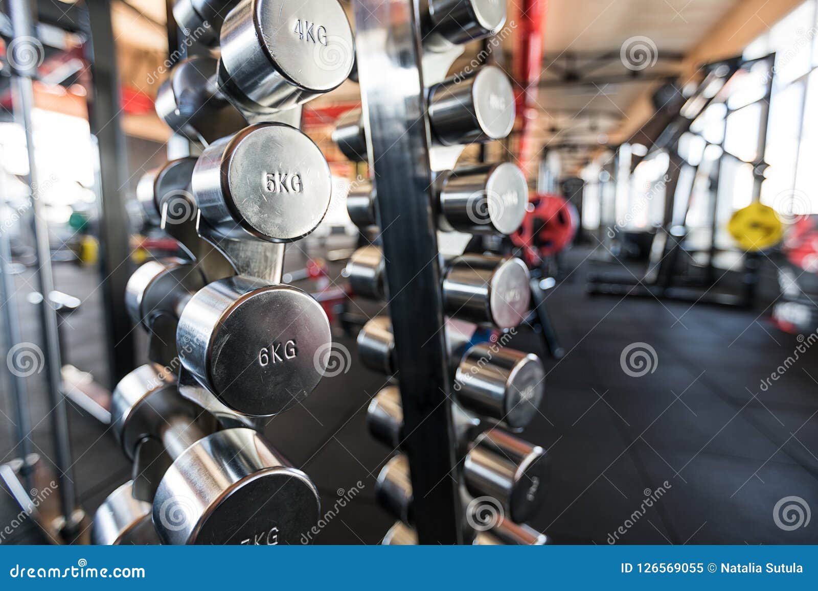Sports Dumbbells. Dumbbells In The Gym Stock Image Image of body