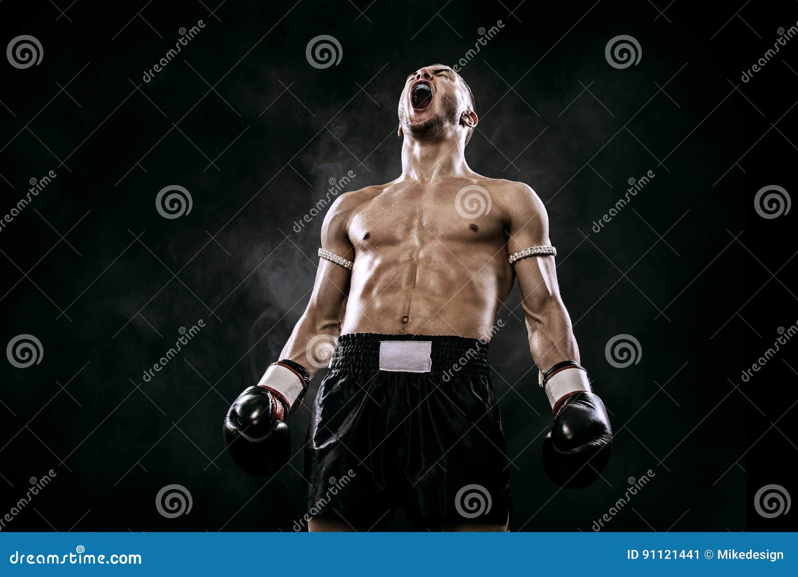 Sportsman Muay Thai Boxer Celebrating Flawless Victory in Boxing Cage.  Isolated on Black Background with Smoke. Copy Stock Image - Image of  people, handsome: 91121441