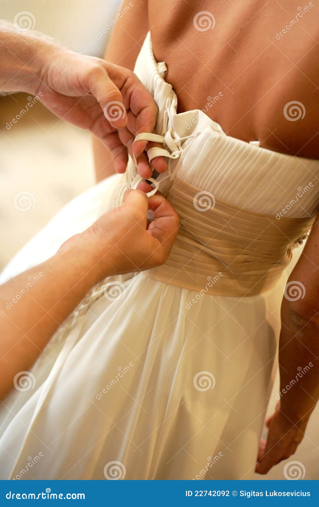 Sposa. Guida di stile dei vestiti di cerimonia nuziale di bellezza