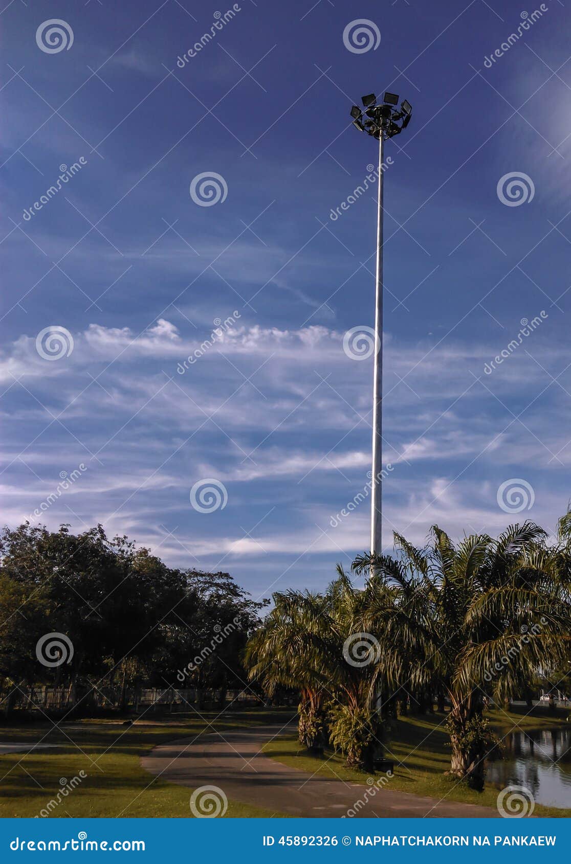 Spotlights in the park. stock photo. Image of spotlights 45892326