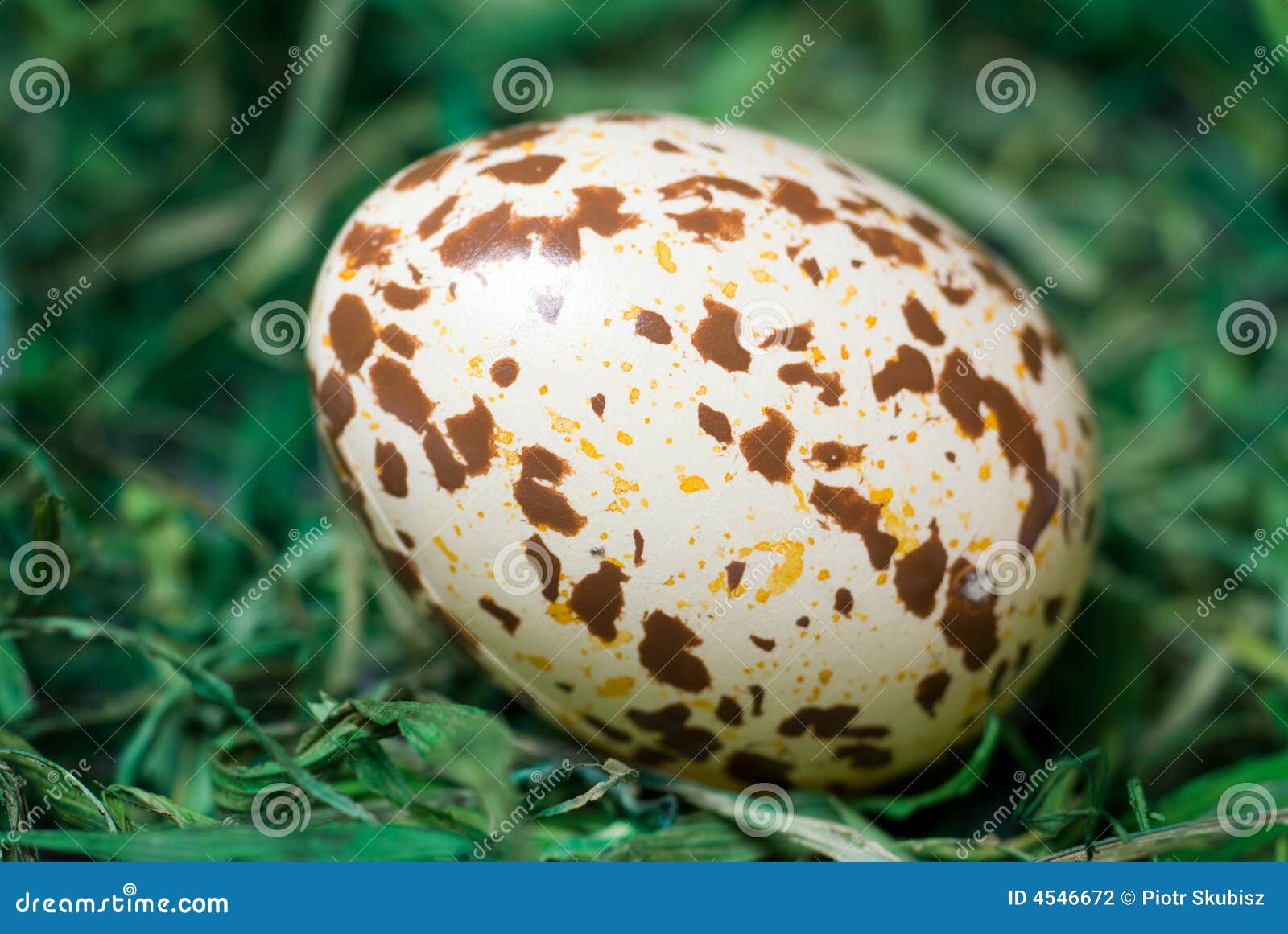 Spotted egg. stock photo. Image of green, pattern, decoration 4546672