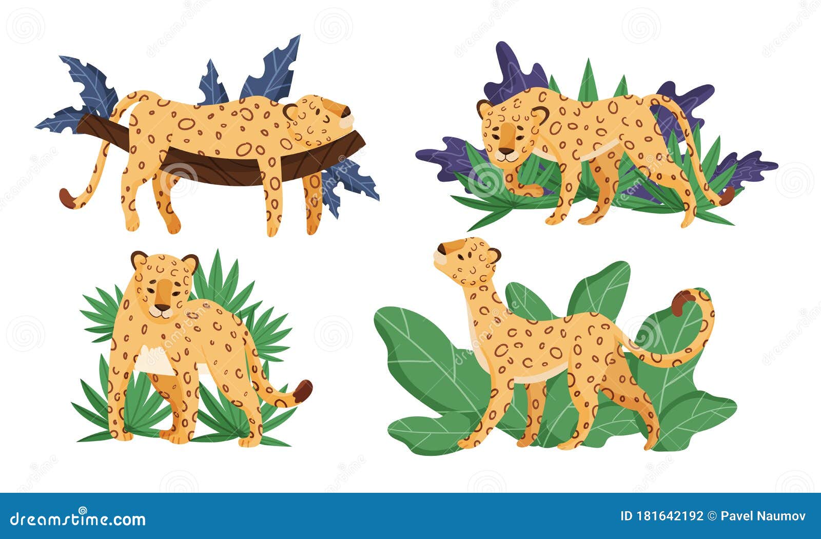 Download Spotted Leopard In Standing Pose And Lying On Tree Branch Vector Set Stock Vector - Illustration ...