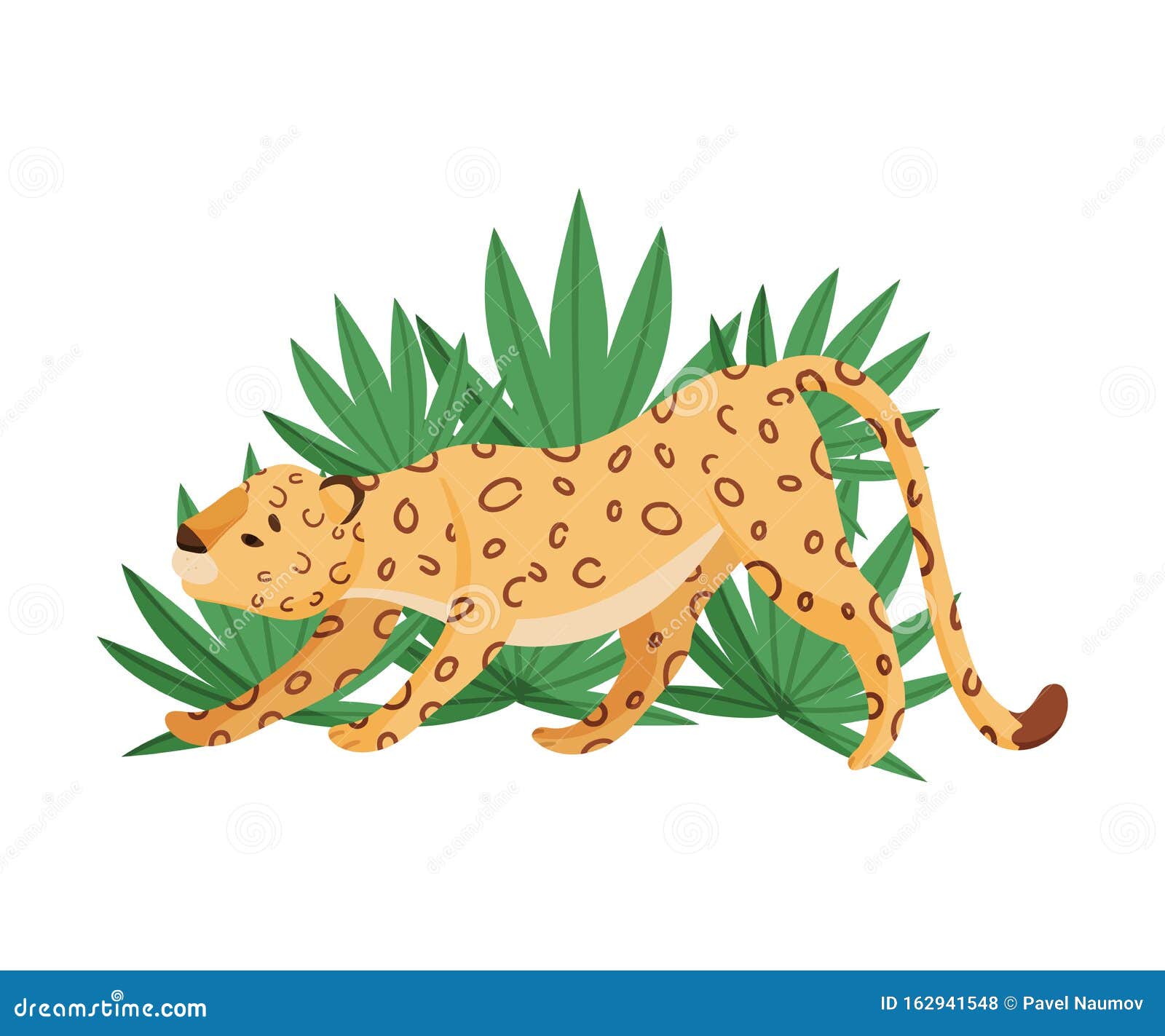 Spotted Leopard Stretching Near Tropical Leaves Vector Illustration ...