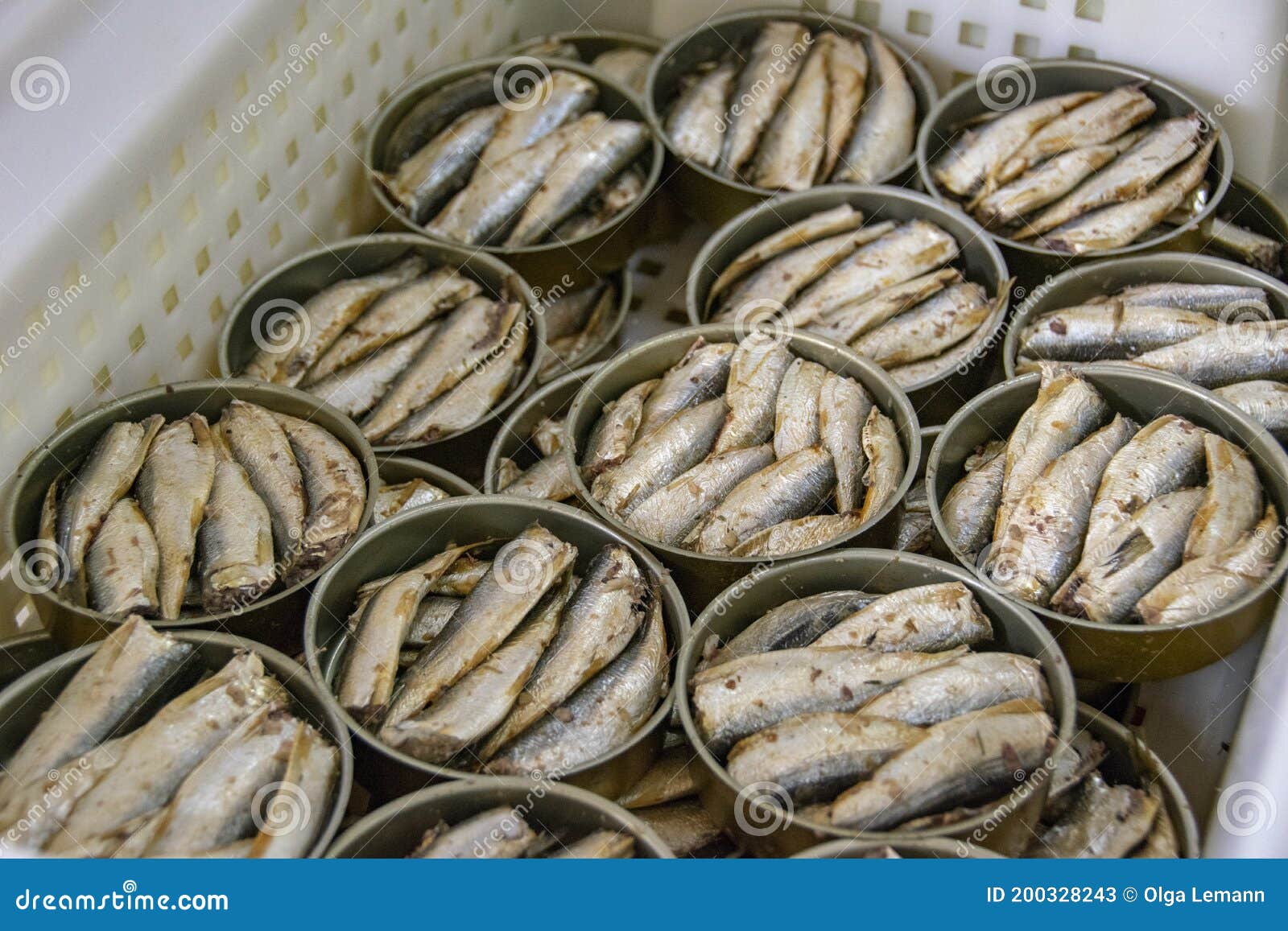 The Sprat Production at the Fish Canning Factory Stock Image Image of