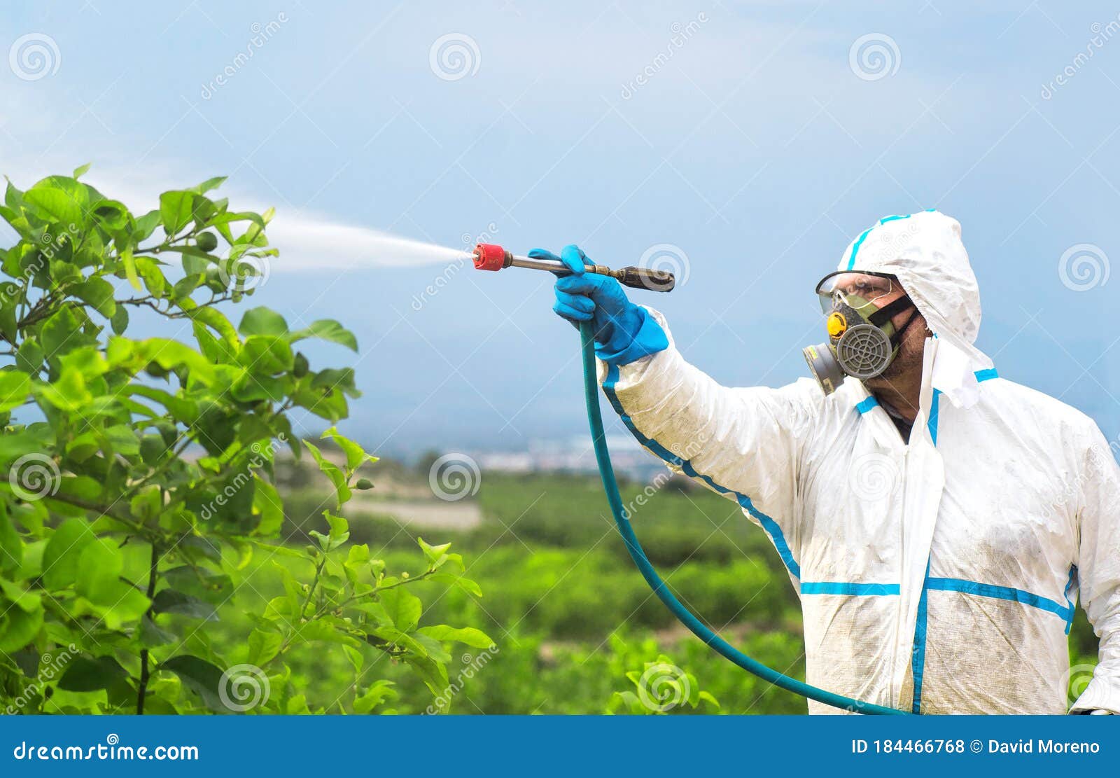spray ecological pesticide. farmer fumigate in protective suit and mask lemon trees. man spraying toxic pesticides, pesticide,