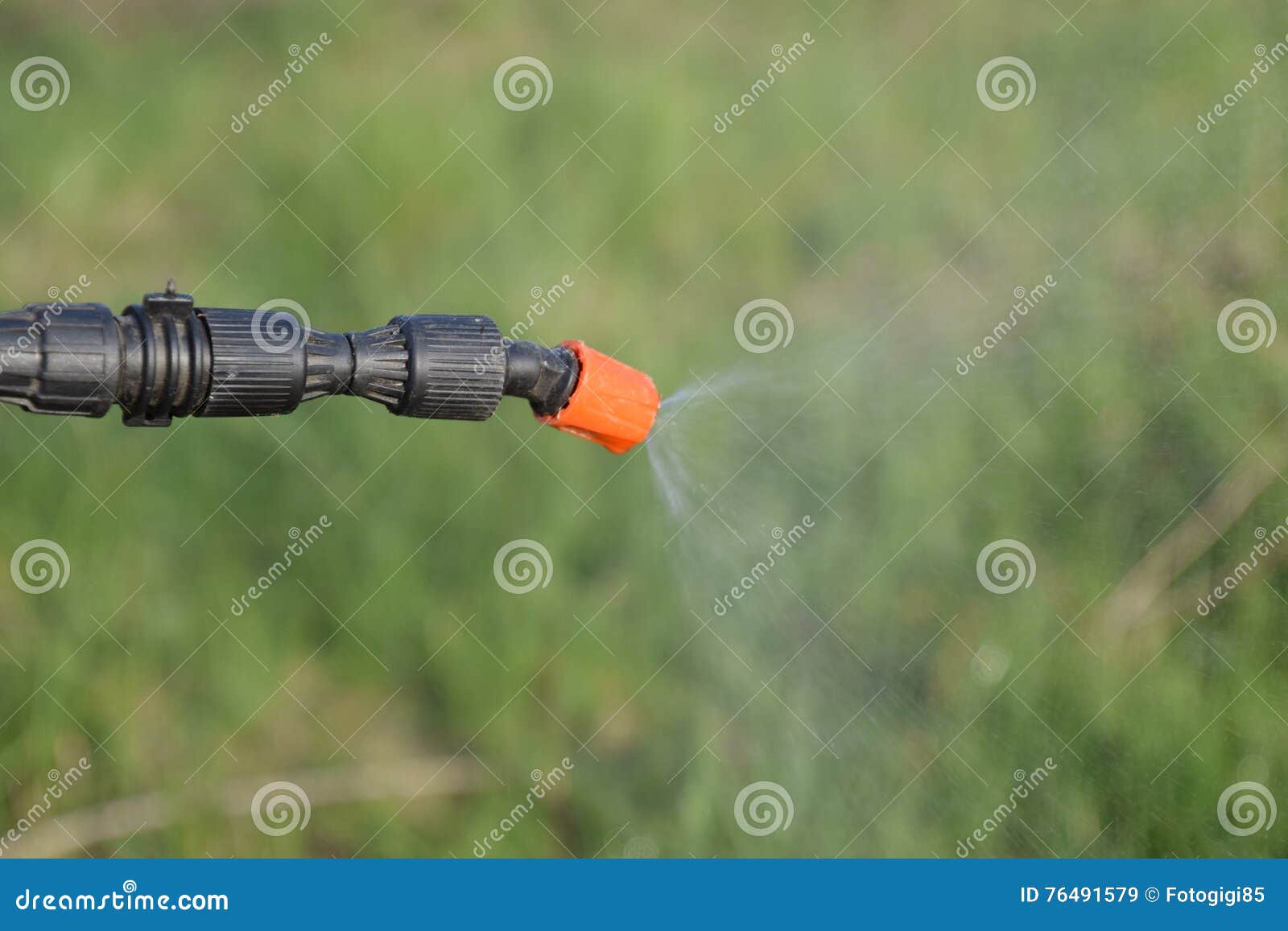 Spraying Herbicide from the Nozzle of the Sprayer Manual Stock Image