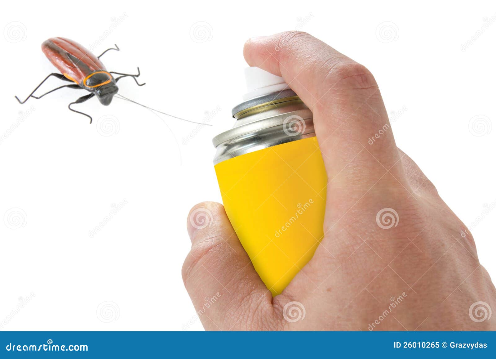 spraying insecticide on cockroach