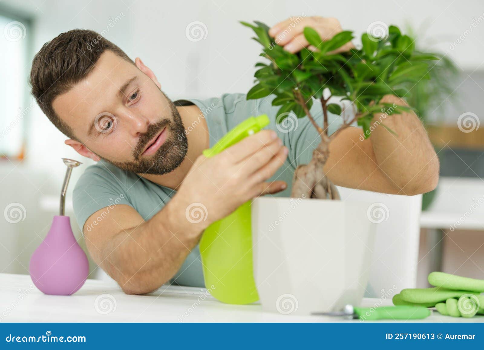 Spraying from Manual Spray Plants Stock Image Image of equipment, plant 257190613