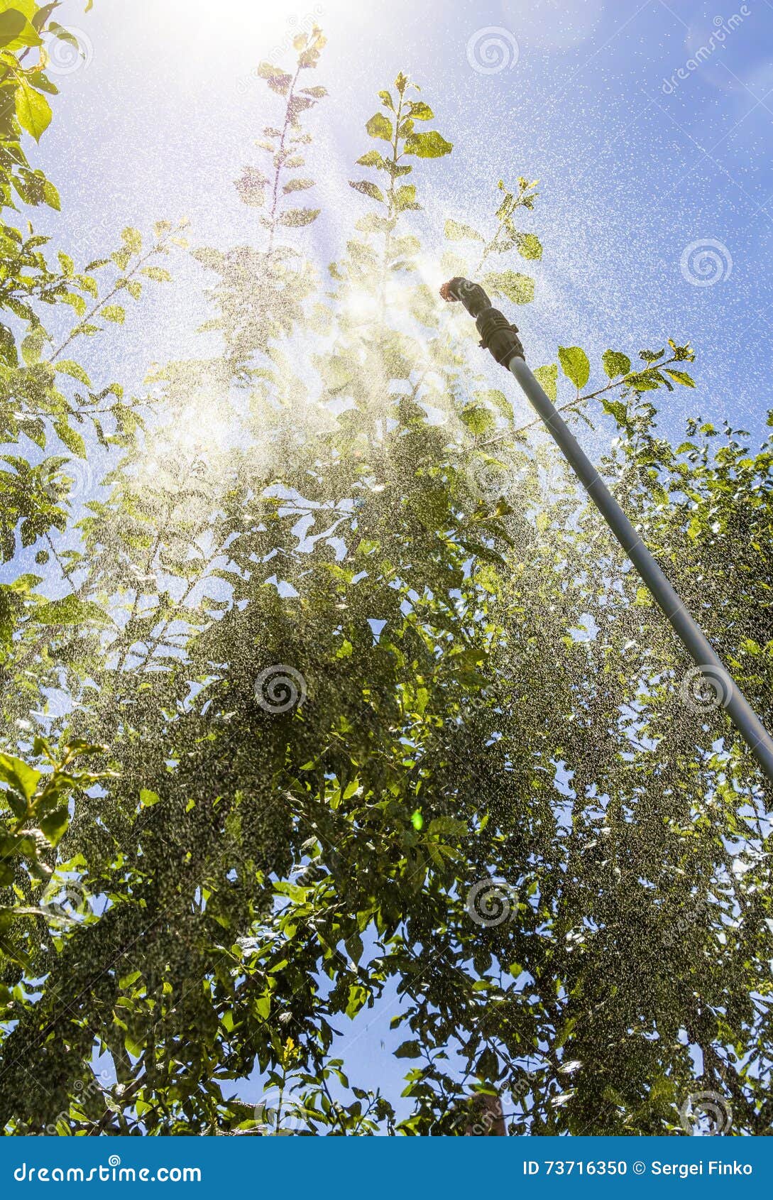 Spraying Trees Against Pests Stock Photo Image of insect