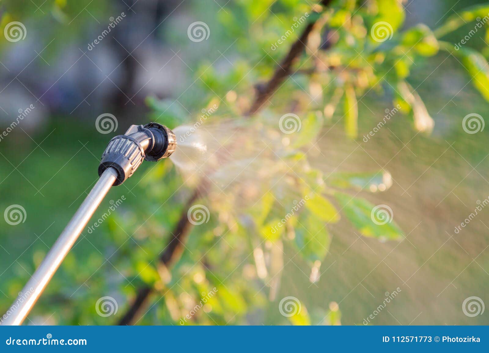 Spraying Trees with Pesticides Stock Image Image of drops, aerosol 112571773