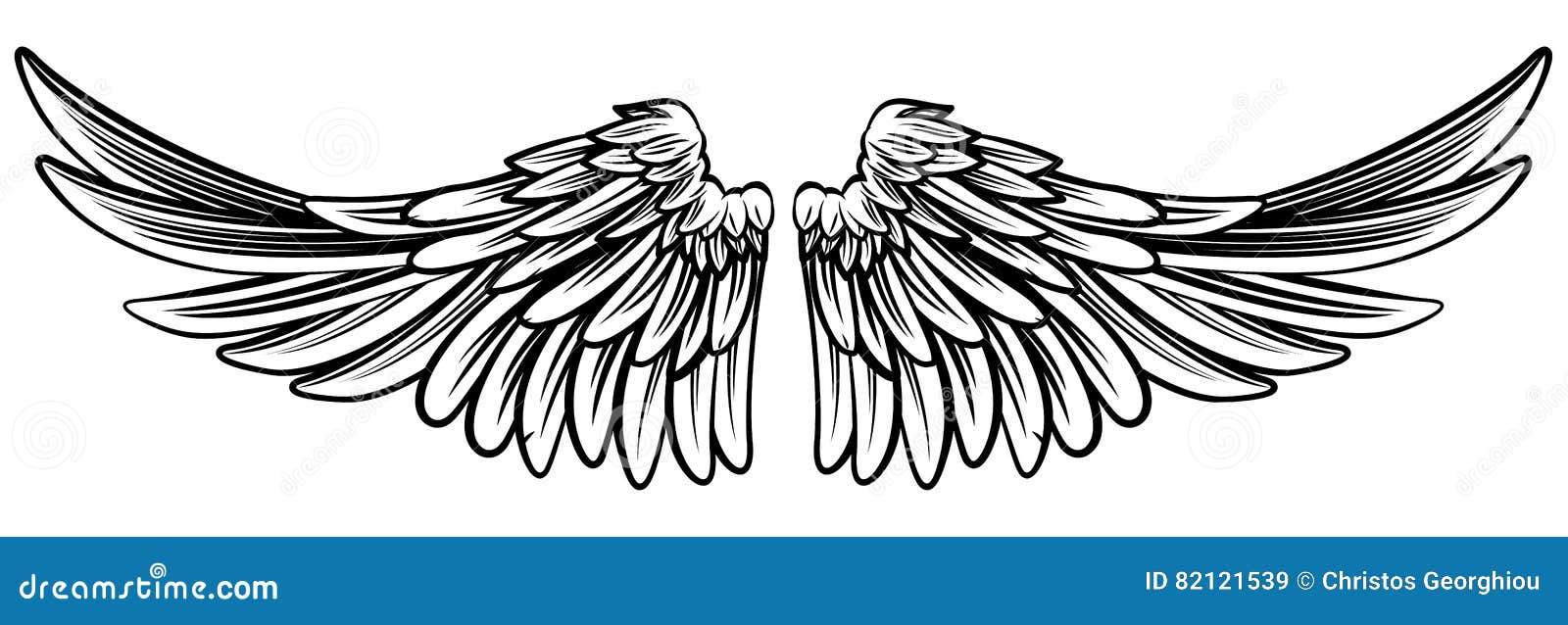 spread pair of angel or eagle wings
