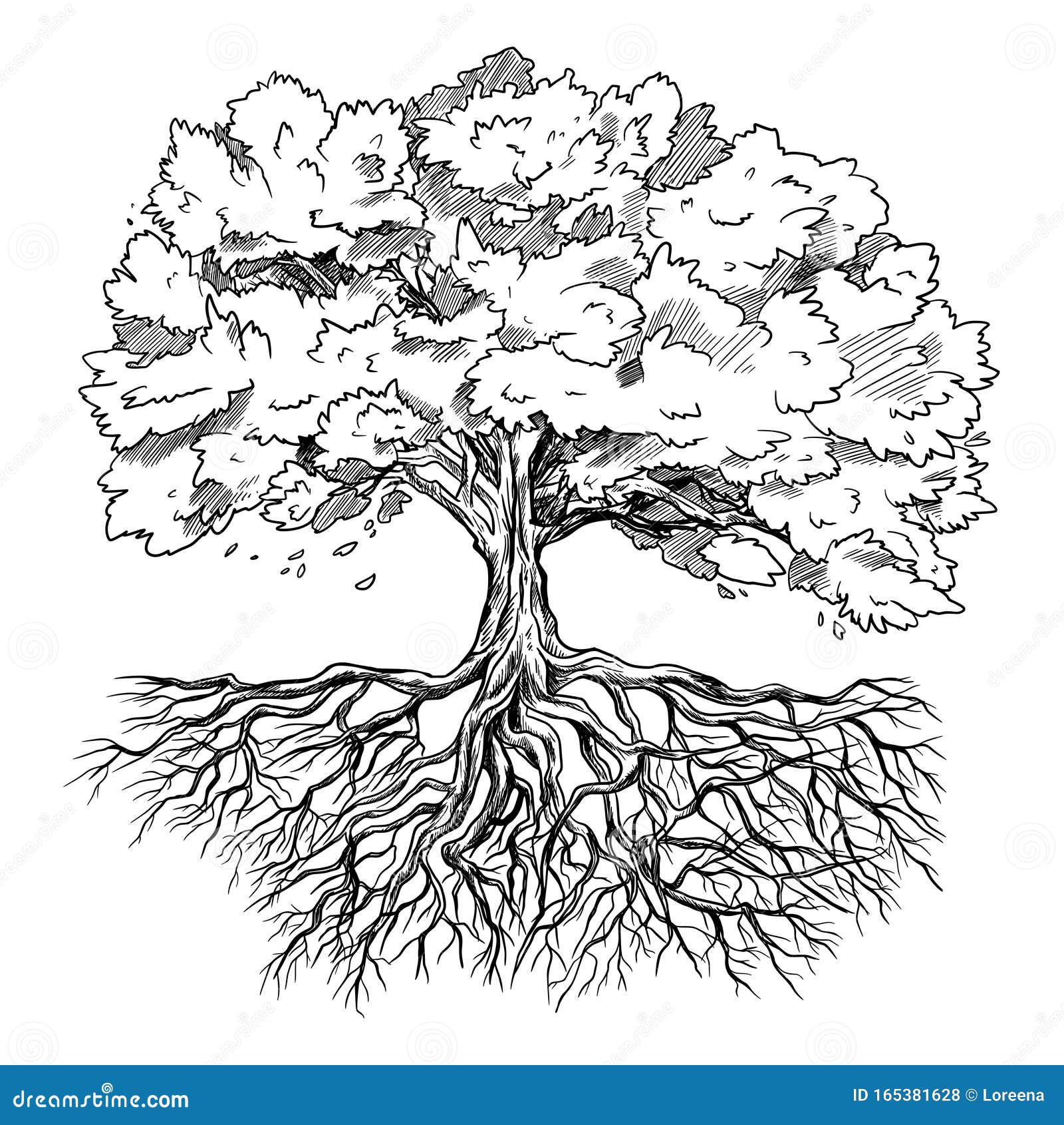 Spreading Tree with Leaves and Rootage, Hand Drawn Stock Vector ...