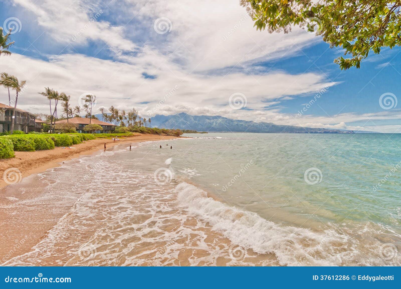 Spreckelsville Beach in Maui, Hawaii Stock Photo Image of beach, foam 37612286