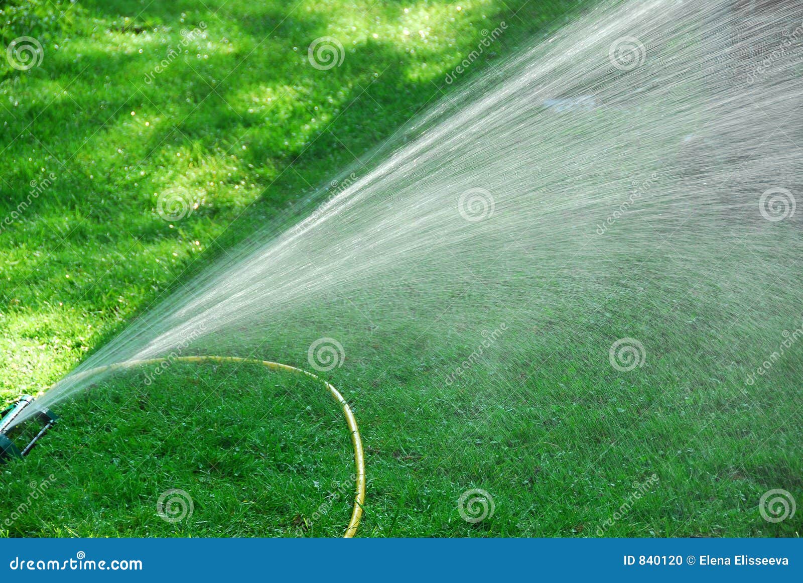 Sprenger auf Rasen stockfoto. Bild von rasen, masse, gras 840120