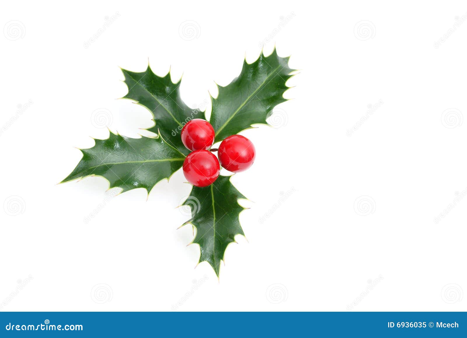 42+ Thousand Christmas Sprig Royalty-Free Images, Stock Photos & Pictures