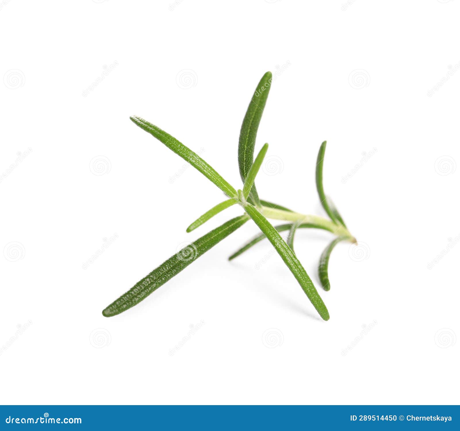 My Image 26