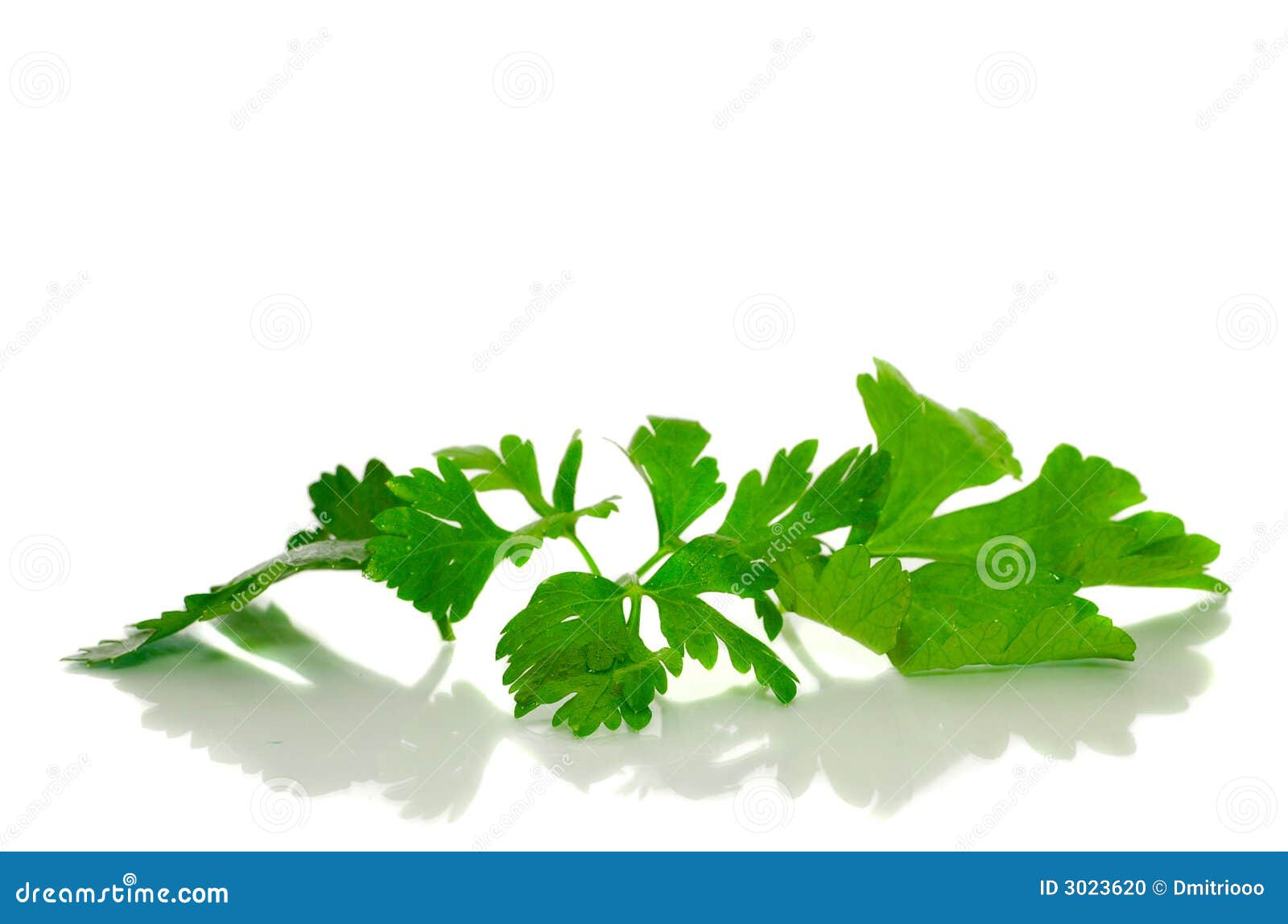 What is a sprig of parsley?