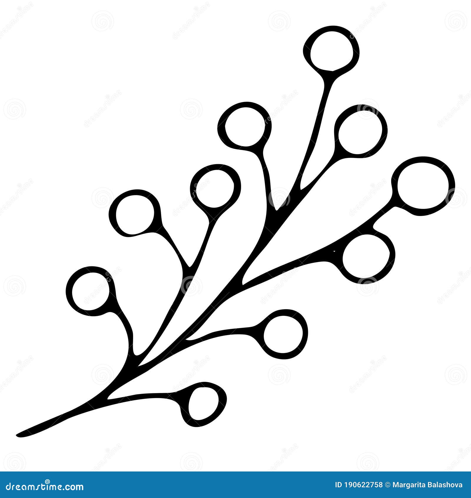 Sprig of Rowan Berries, Vector Element, Doodles, Coloring Book Stock ...