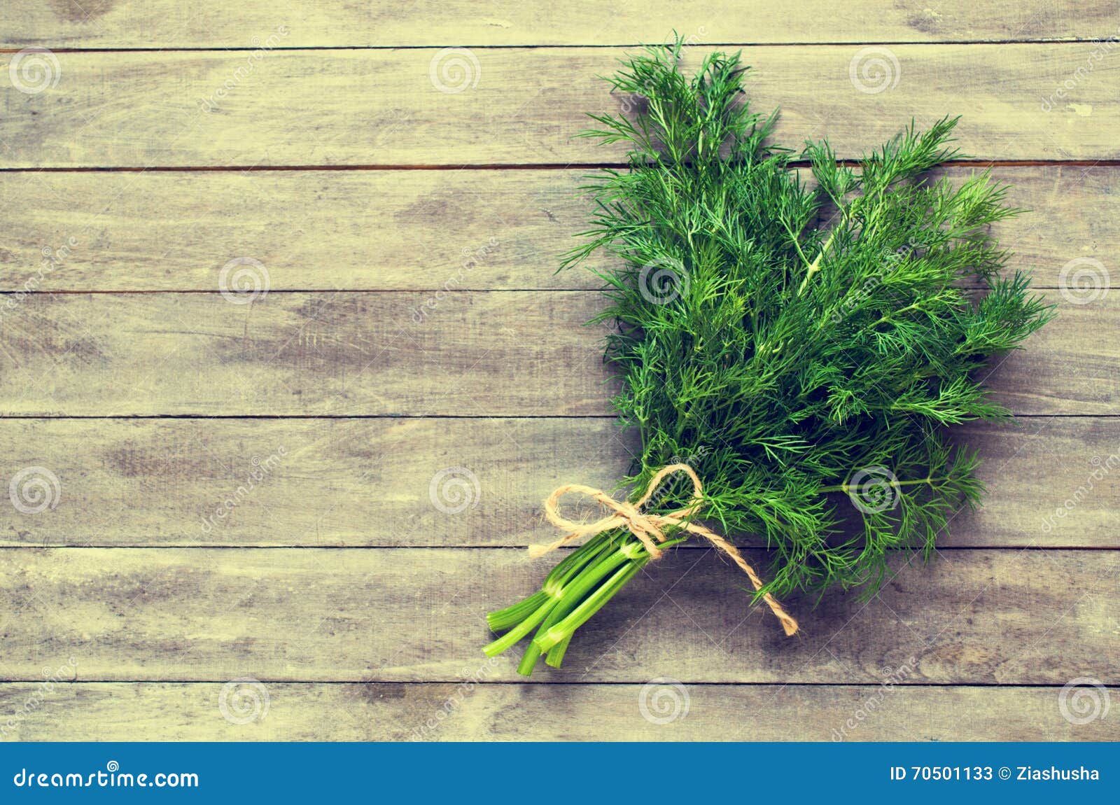 Sprigs of fresh dill stock image. Image of branch, ingredient 70501133