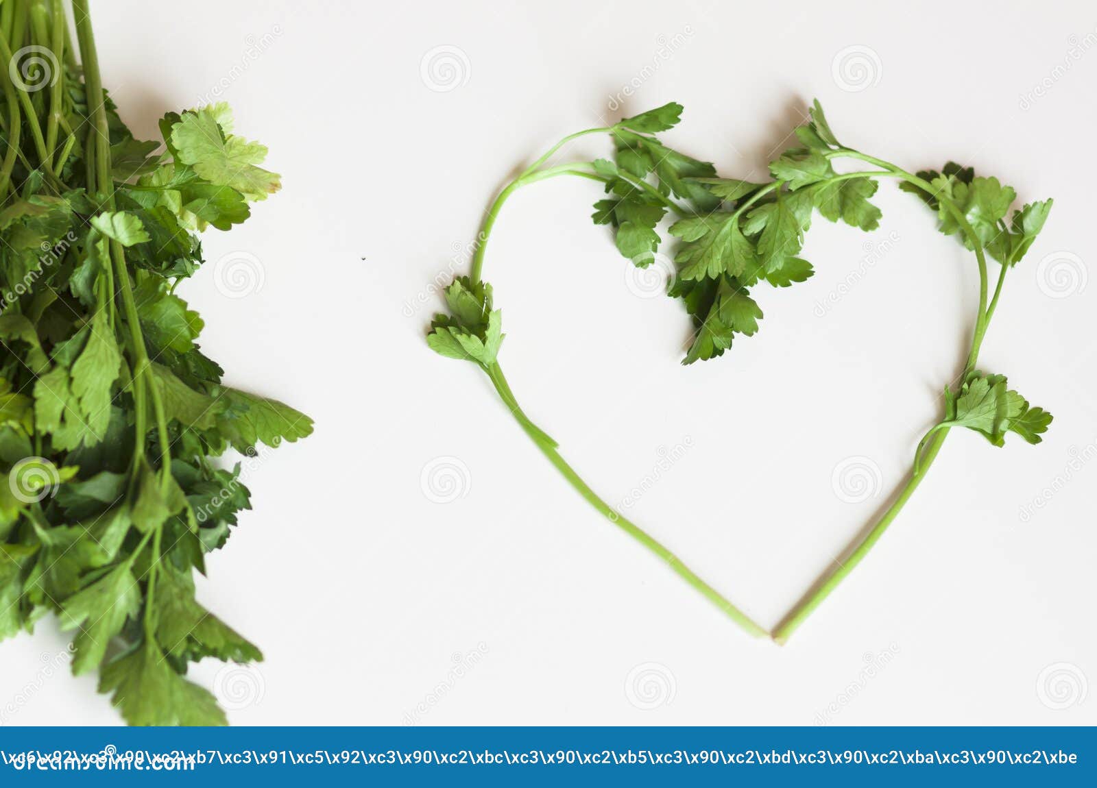Sprigs Of Parsley In The Form Of Heart Stock Image Image of lifestyle
