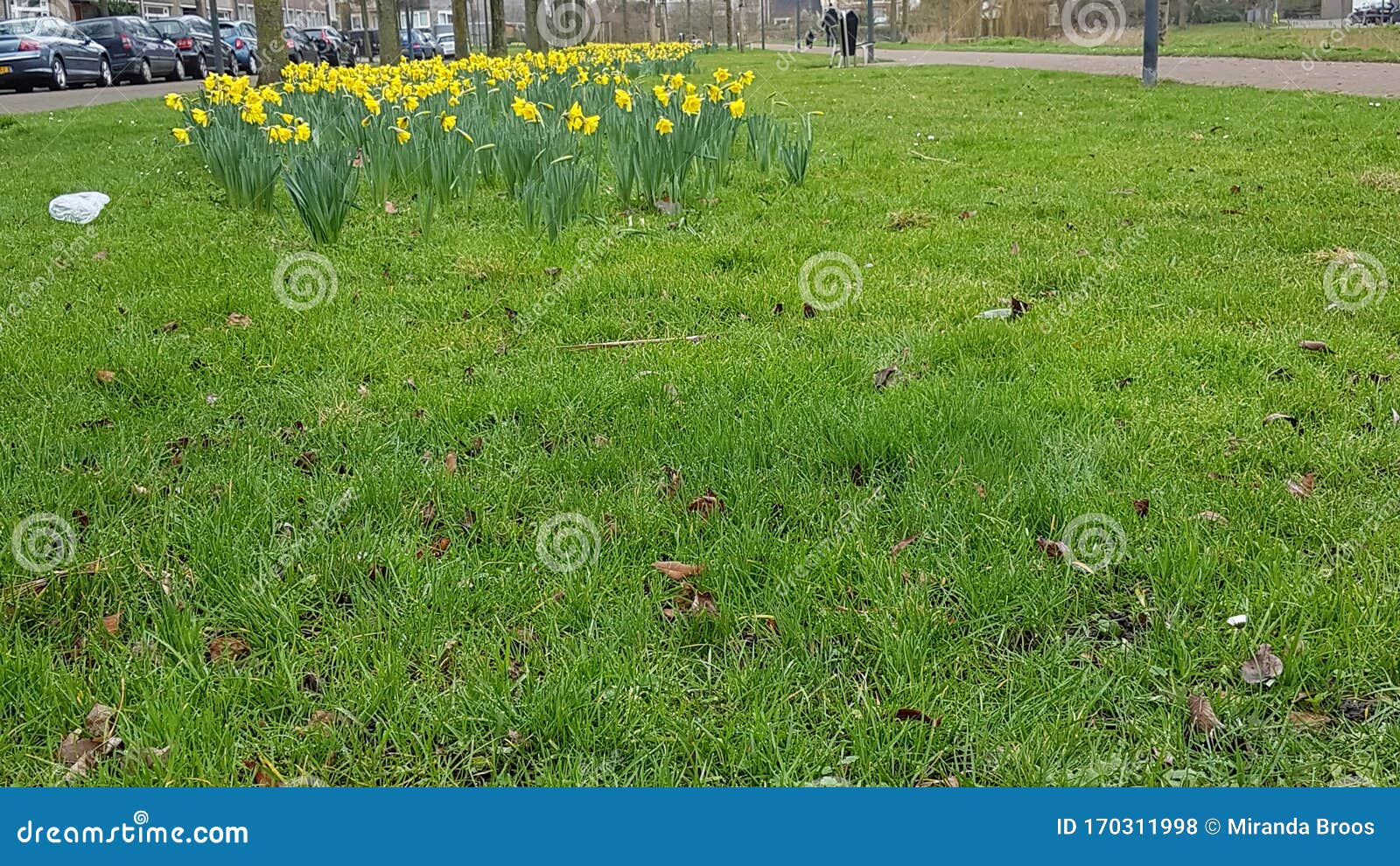 Spring in the air stock photo. Image of bloemen, nature 170311998