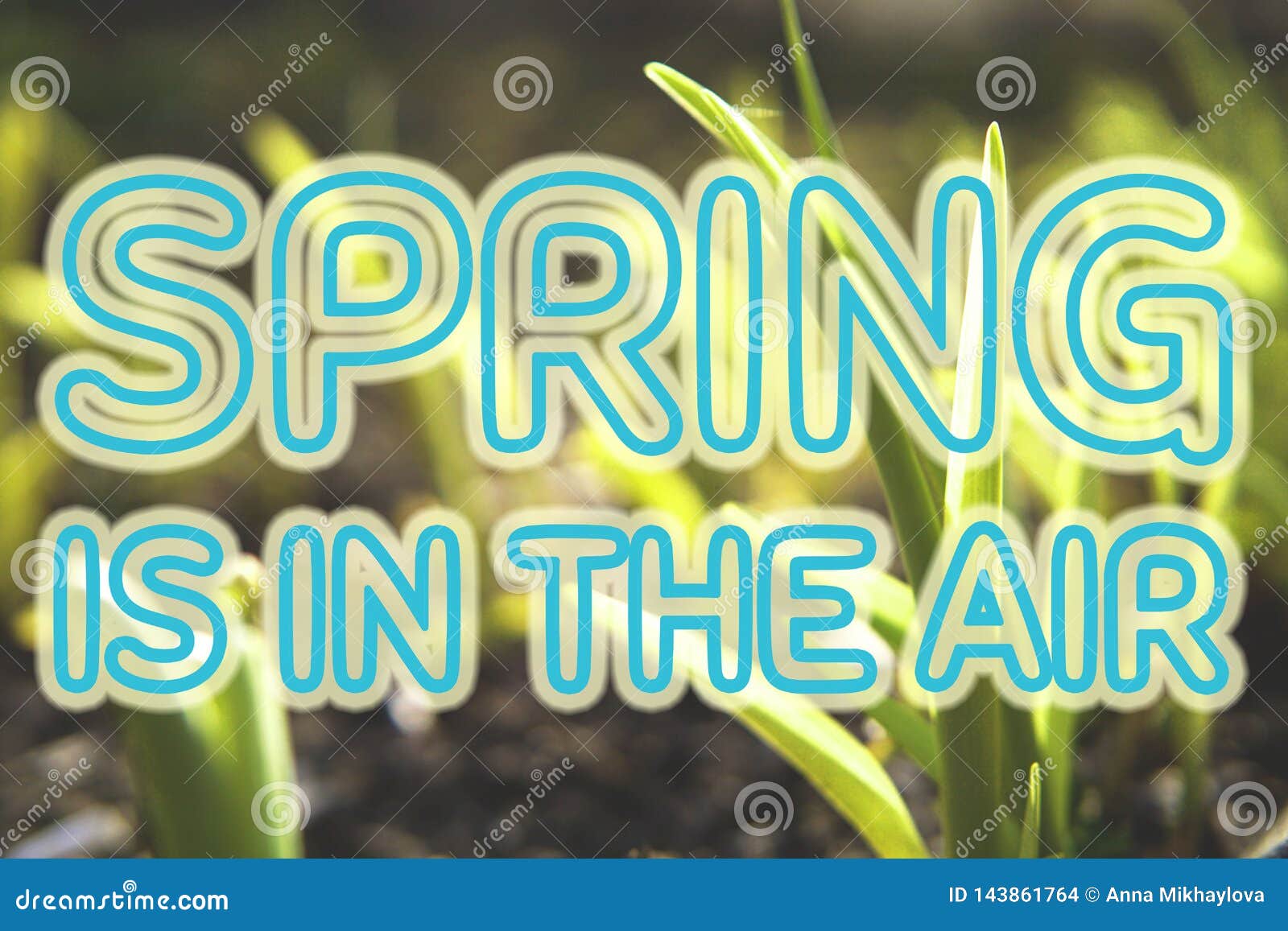Spring is in the Air. Background with Text. Stock Photo Image of