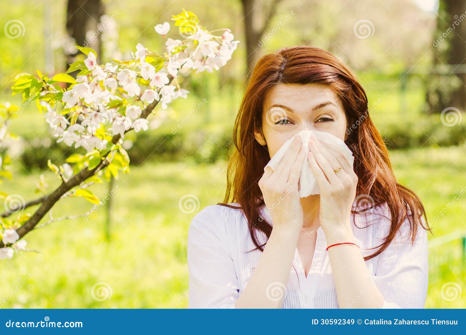 spring allergy