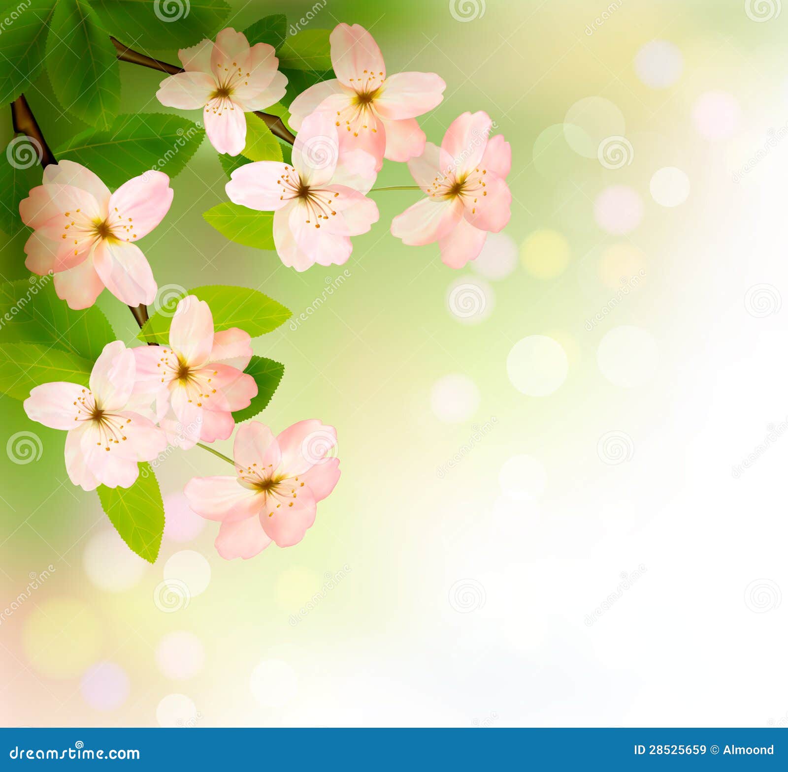 spring background with blossoming tree brunch