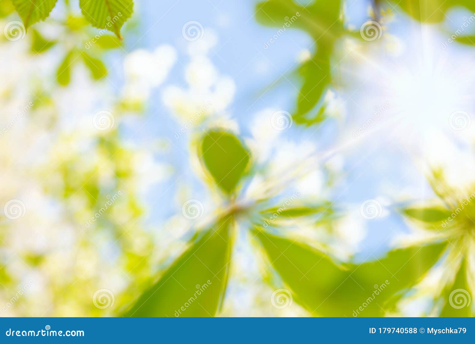 spring background in defocus. natural background with sunbeams