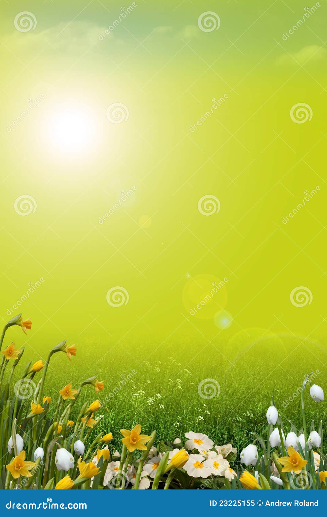 Spring Background Portrait Stock Image Image 23225155