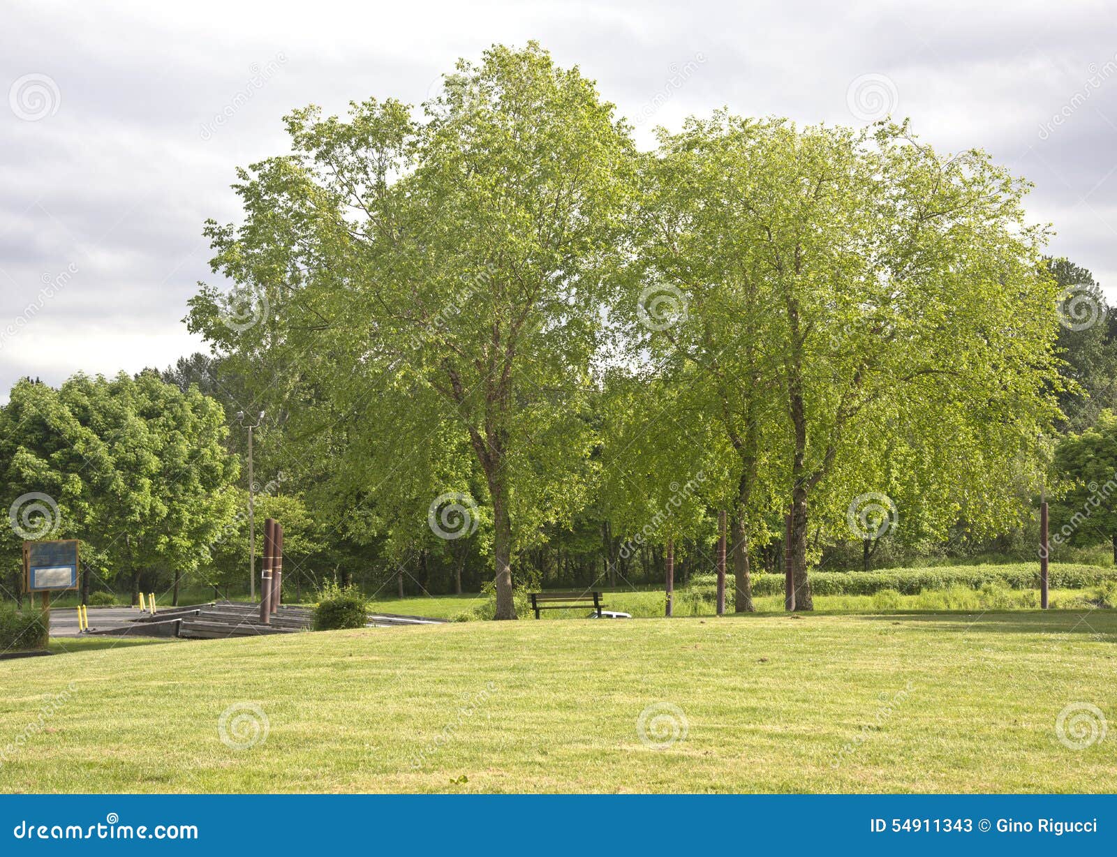 spring blooms in a public park