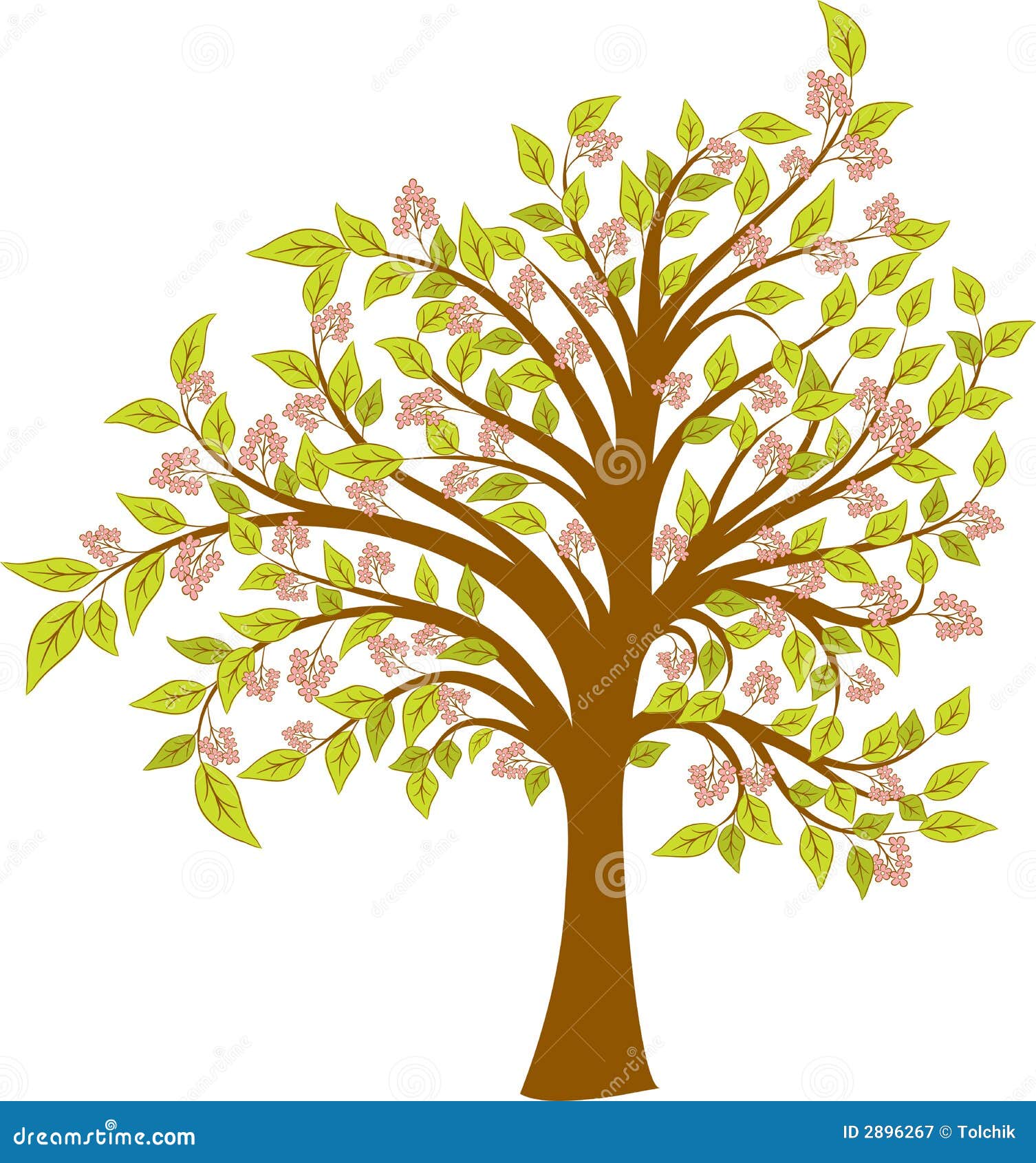 Spring Blossoming Tree Vector Stock Vector Illustration Of Ornament Branch