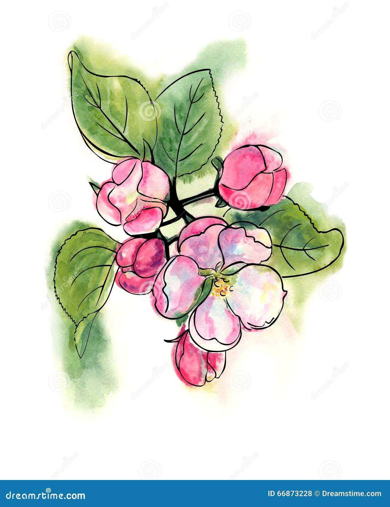 Spring blossoms stock illustration. Illustration of landscape - 66873228