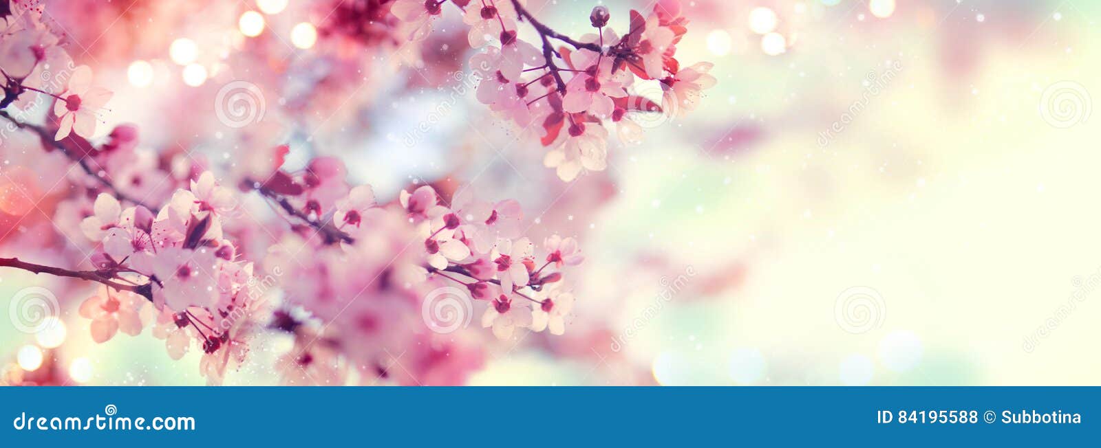 spring border or background art with pink blossom