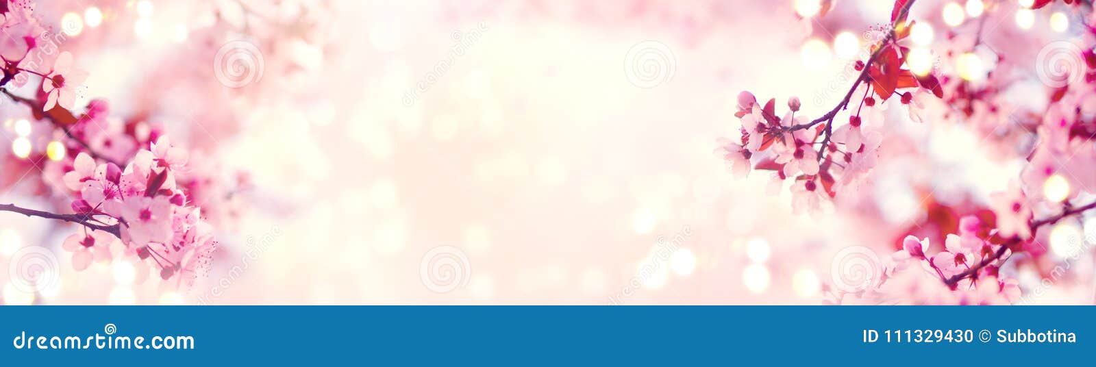 spring border or background art with pink blossom. beautiful nature scene with blooming tree