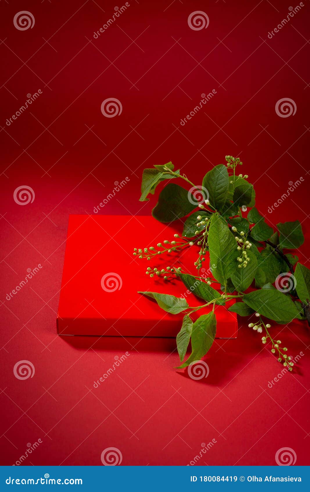 Spring Branch with Flowers and Gift Box on Red Background Stock Image