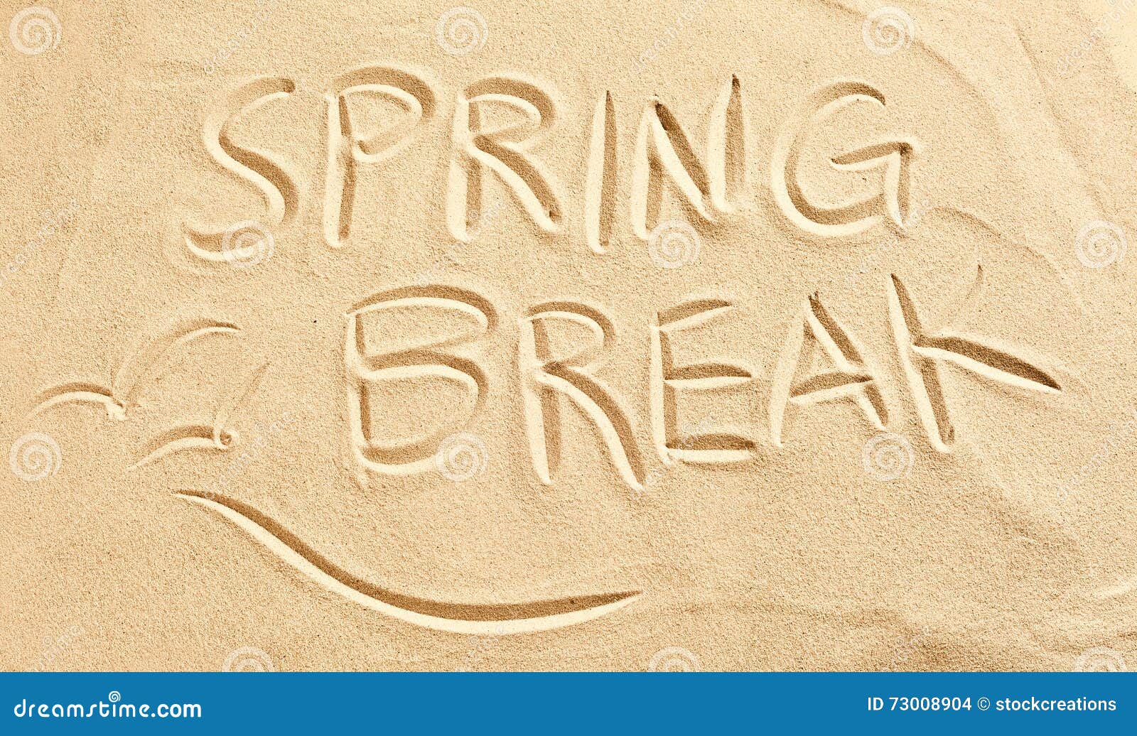 spring break and seagulls drawn in beach sand