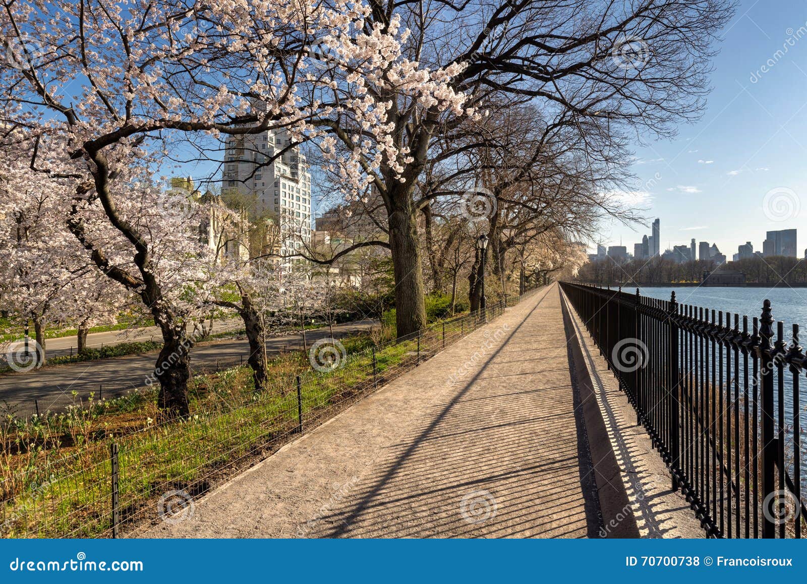 spring in central park and upper east side. new york