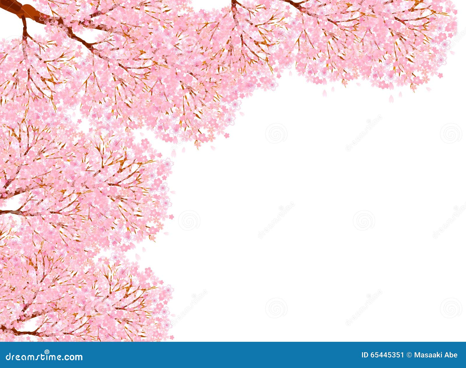 Spring Cherry Blossom Background Stock Illustration Illustration of