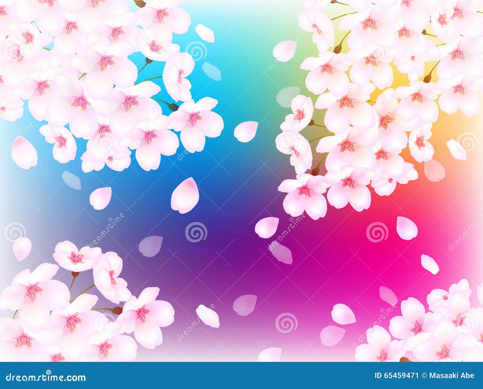 Spring Cherry Blossom Background Stock Illustration Illustration of