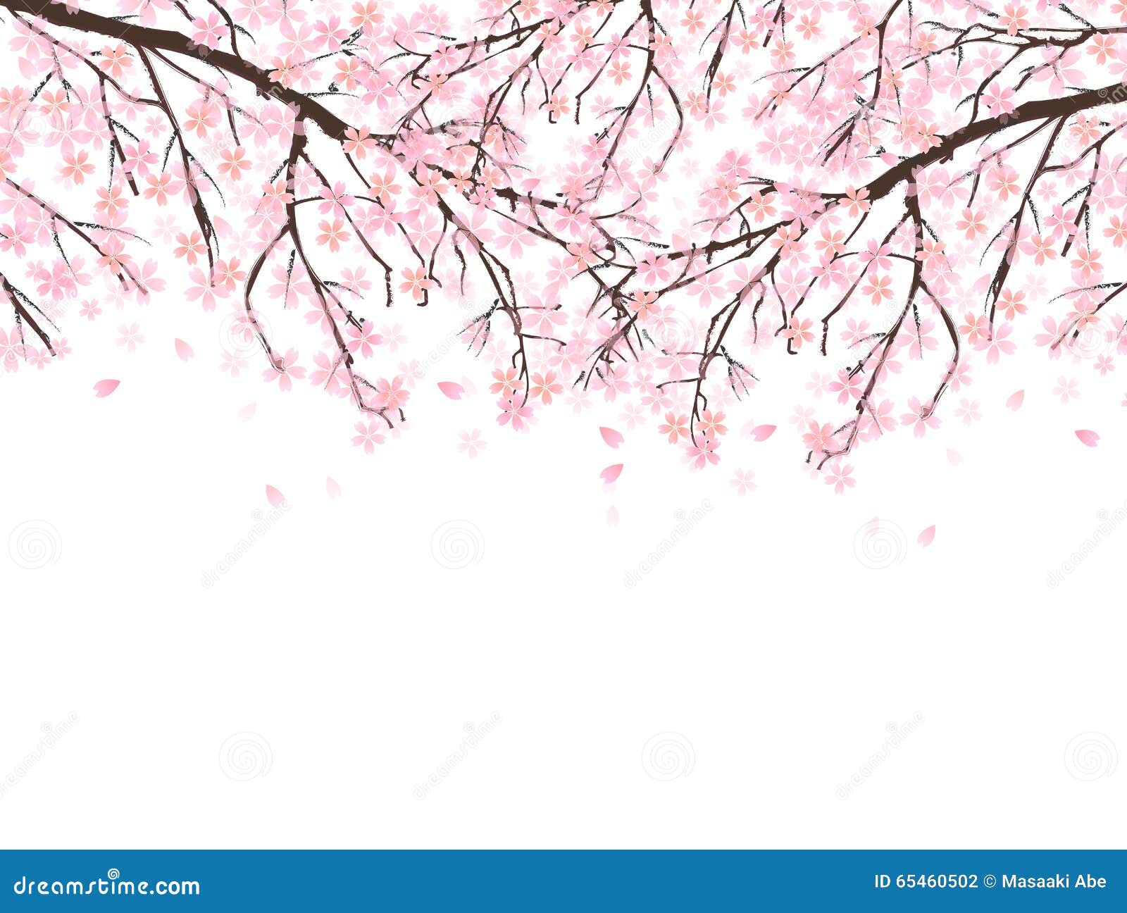 Spring Cherry Blossom Background Stock Illustration Illustration of