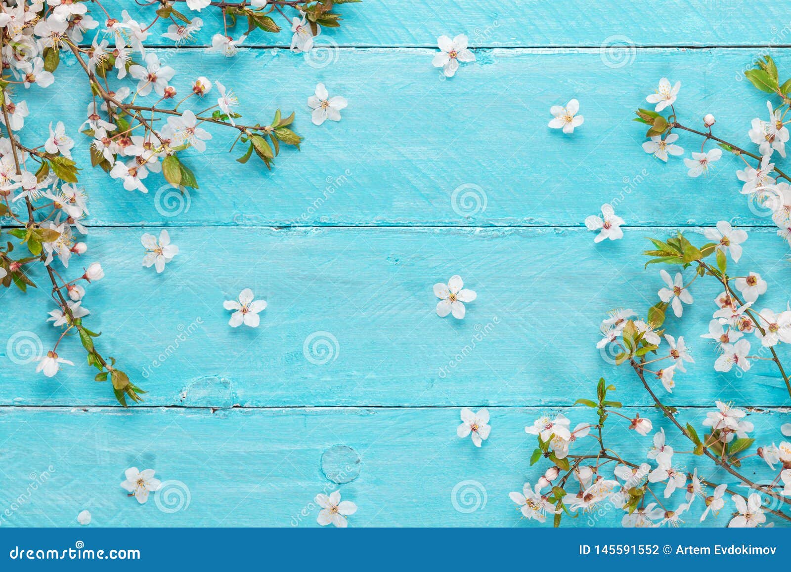 Hoa anh đào mùa xuân trên mặt bàn gỗ màu xanh. Góc nhìn từ trên xuống. Phẳng - Bức ảnh thiên nhiên mùa xuân mang lại cho bạn một cảm giác tươi mới và thú vị. Với những cành hoa anh đào trắng tinh khôi, những bông hoa màu xanh ngọc bích và mặt bàn gỗ tự nhiên, hình ảnh này rất đẹp và dễ chịu cho mắt.