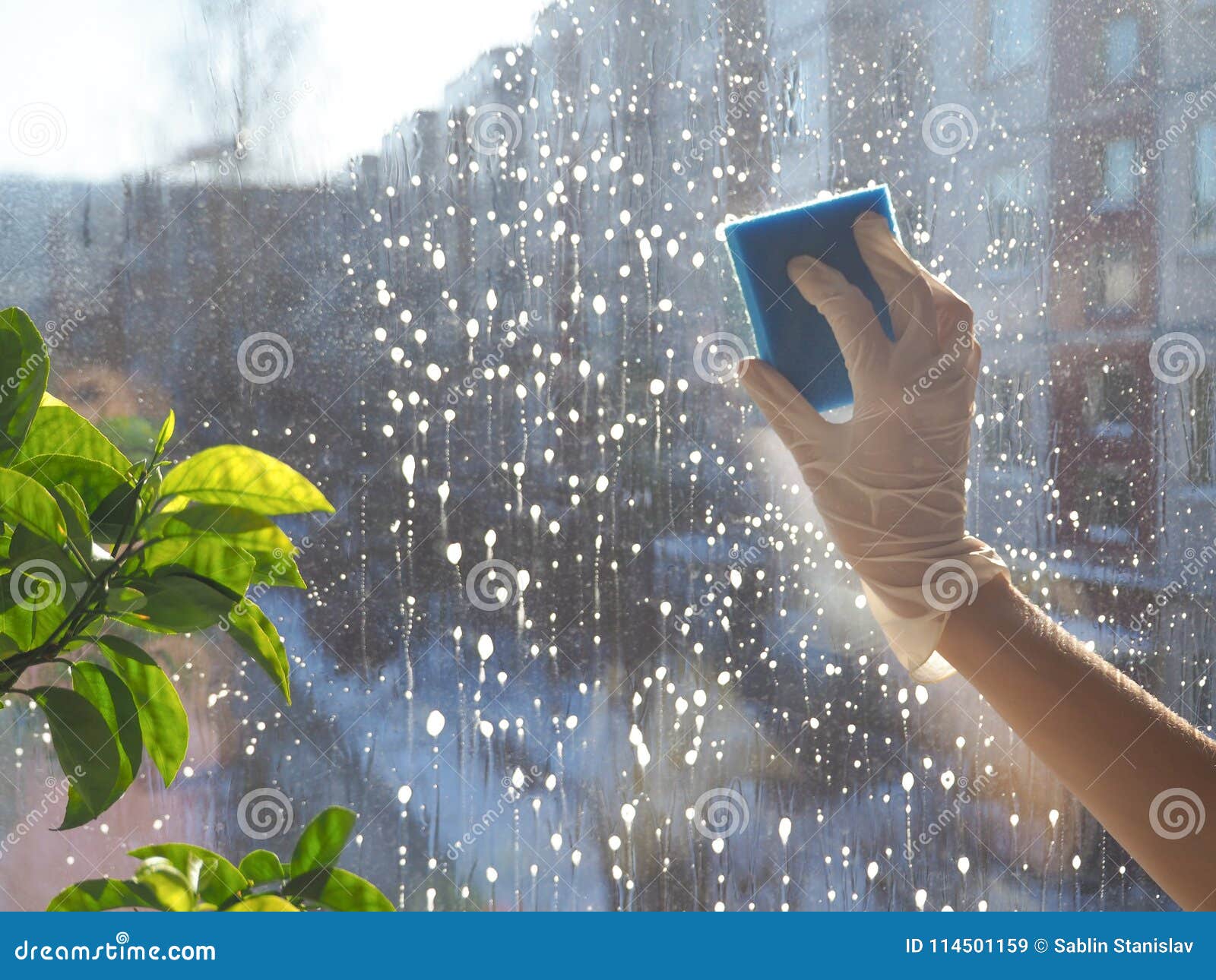 Spring Cleaning Cleaning Windows. Women`s Hands Wash the Window