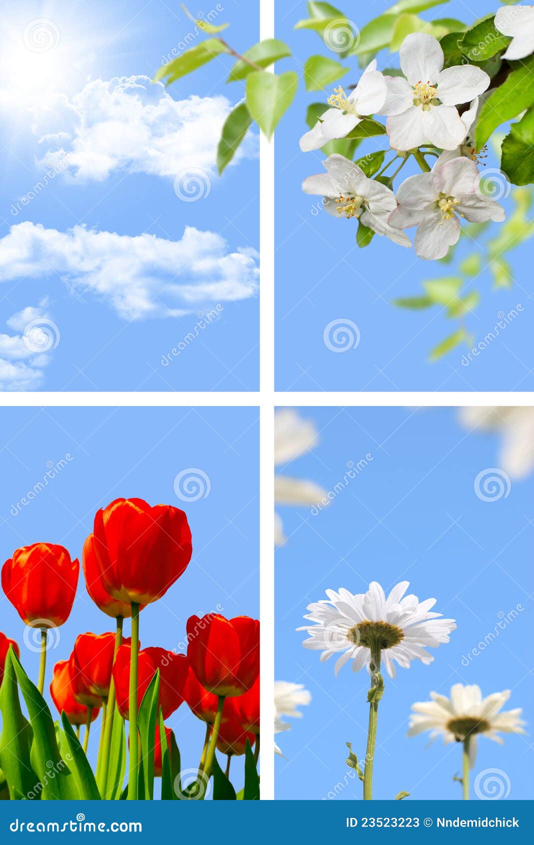 Spring Collage Stock Photo 29448228
