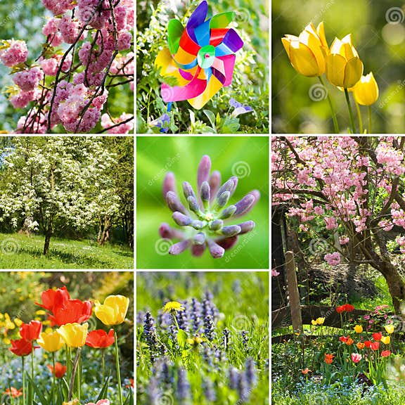 Spring collage stock image. Image of beautiful, growth 28794153