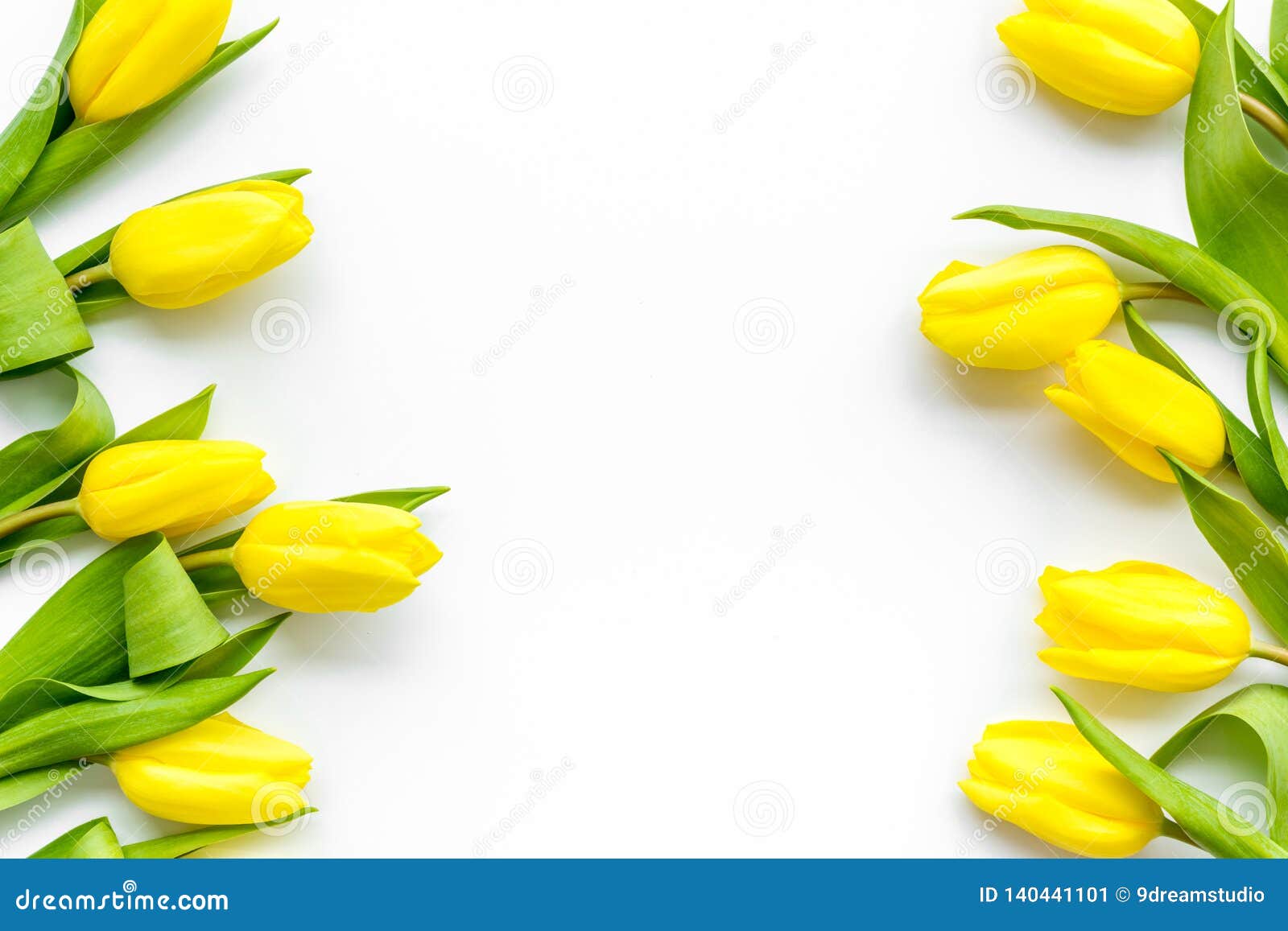 Spring Composition. Delicate Yellow Tulips on White Background Top View  Space for Text Border Stock Image - Image of natural, flat: 140441101