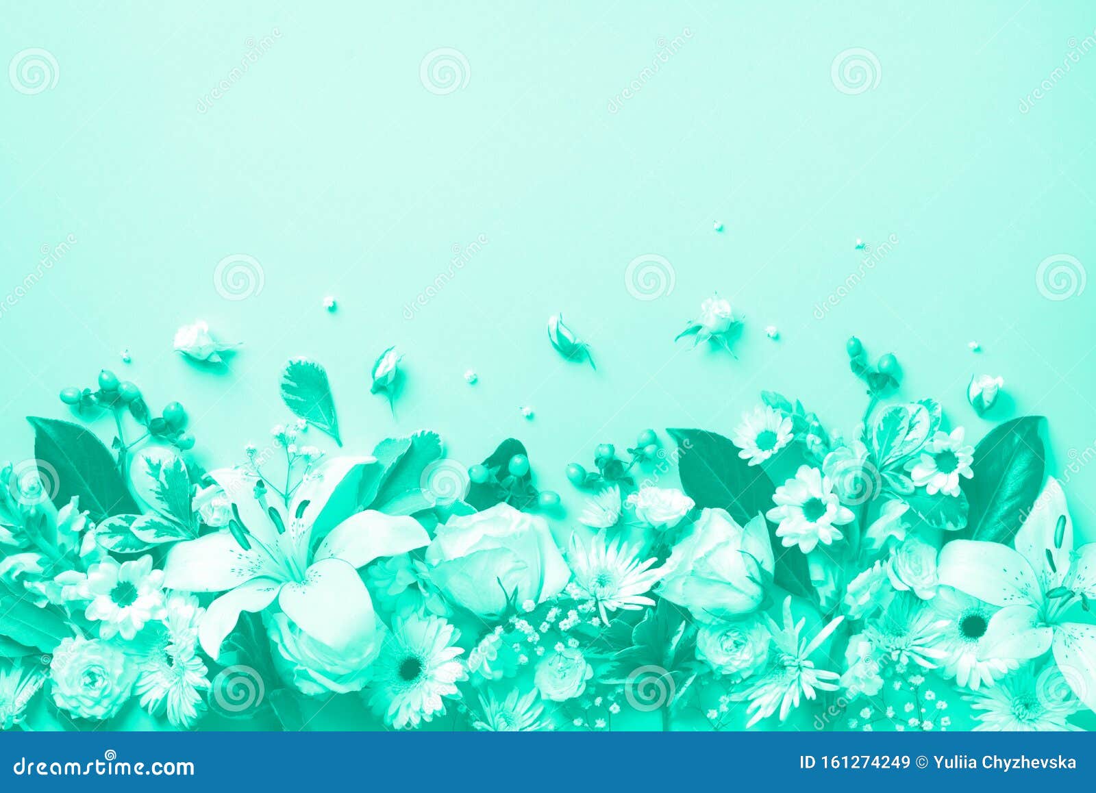 Spring Composition of Mint Flowers on Trendy Green Color Background